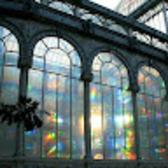 Meet your Posher, Destiny - Picture 1 of 1